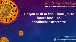  Famous Astrologer in Bangalore   Sai Balaji Anugraha